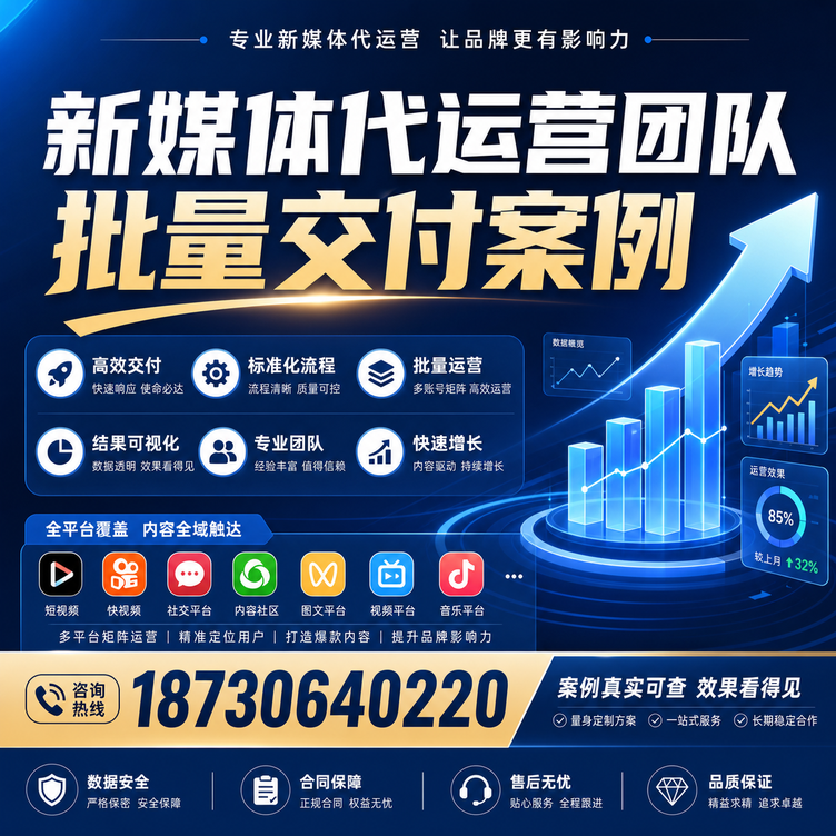 西藏代运营公司多客户账号批量高效交付案例